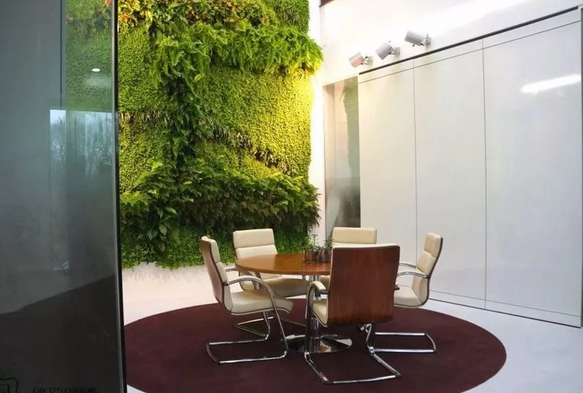 都市伊甸园:植物墙的补充式照明,补光系统里的小妙招!