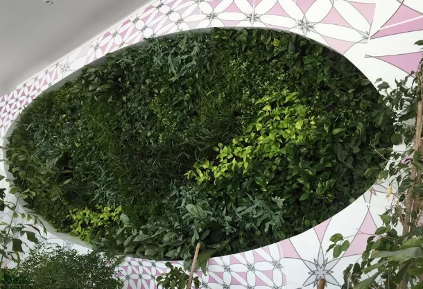 都市伊甸园:植物墙的小型与异形化应用,任何场景通通拿下!