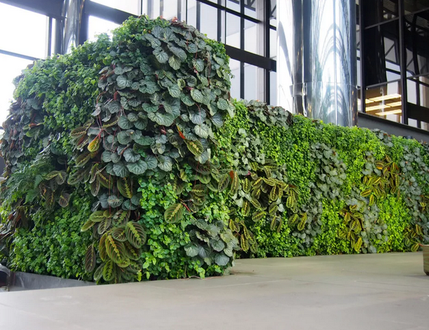 都市伊甸园:植物墙外景内做,打造花园生态酒店成就行业典范!