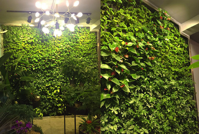 都市伊甸园:红蓝光补光设备在植物墙中的应用