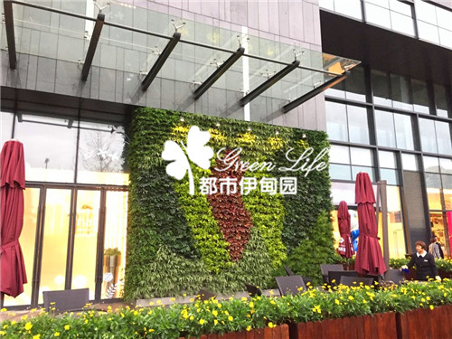 室外植物墙制作公司哪有?